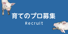 育てのプロ募集 育てのプロ募集